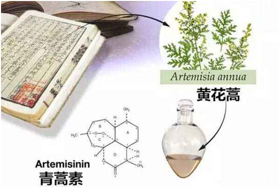 大发体育网页版-大发体育(中国),大发体育网页版-大发体育(中国)：向中医药看齐，与世界共享中医药文化(图1)